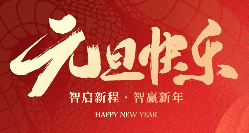 喜迎2025，领驭科技全体员工祝您元旦快乐！